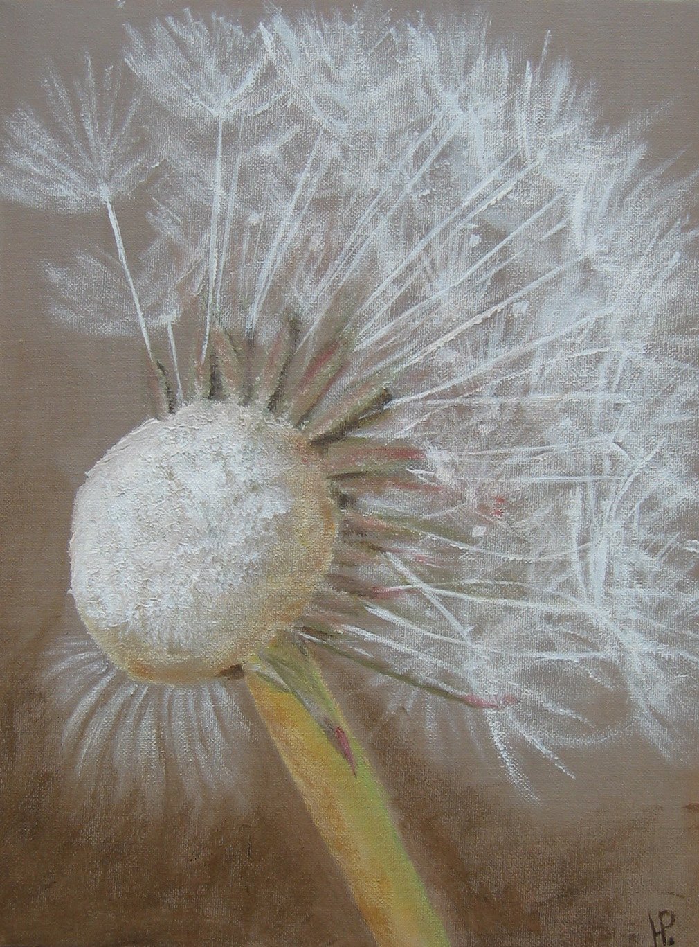 Paardenbloem | doek 30 x 40 cm | acrylverf | verkocht